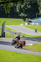 Middle Group Orange Bikes